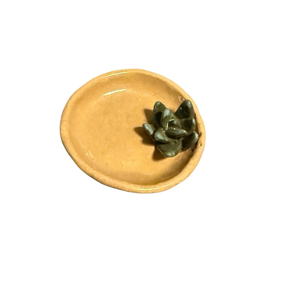 Handmade 3" Round Pottery Trinket Dish Signed‎ By Artist - Succulent - Ceramic